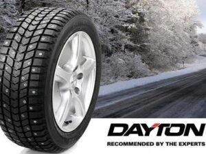 175/65 R14 DAYTON DW700
